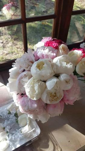 Peony-Retinue